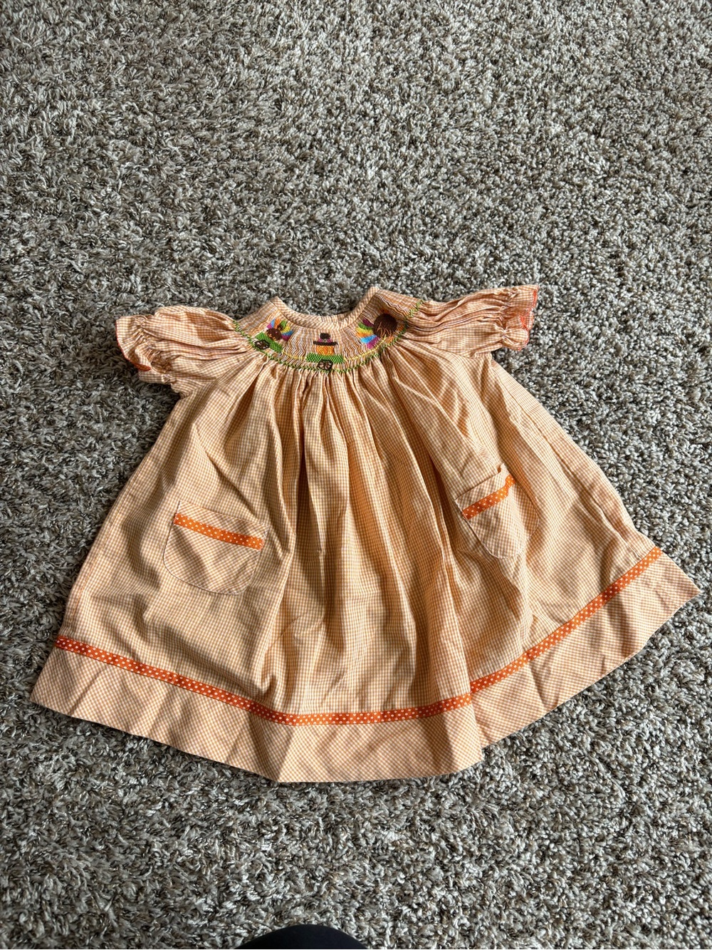 Vive La Fete Turkey Thanksgiving Smocked Bishop Dress